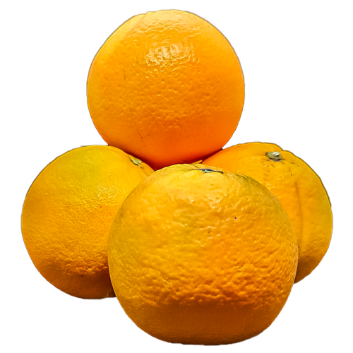 Liese Lose - Orangen aus Sizilien