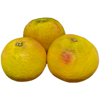 Grapefruit